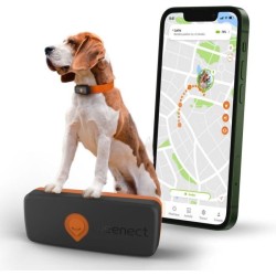 Traceur GPS pour Chien - Weenect XS (Black Edition 2023)