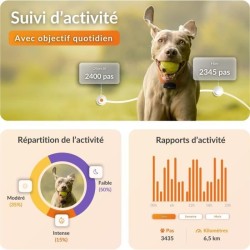 Traceur GPS pour Chien - Weenect XS (Black Edition 2023)