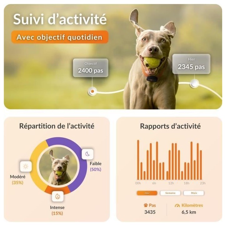 Traceur GPS pour Chien - Weenect XS (Black Edition 2023)