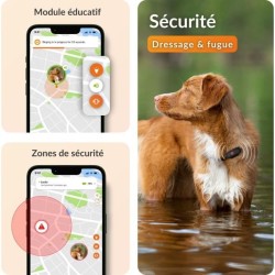 Traceur GPS pour Chien - Weenect XS (Black Edition 2023)