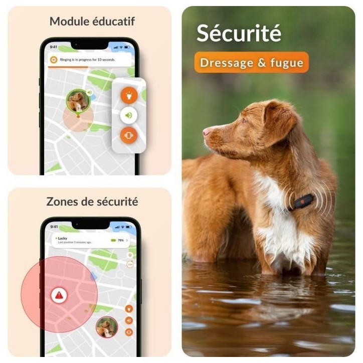 Traceur GPS pour Chien - Weenect XS (Black Edition 2023)