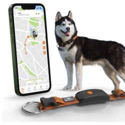 Collier GPS pour chien - WEENECT Chien XT - Antenne XL - Etanche - Col