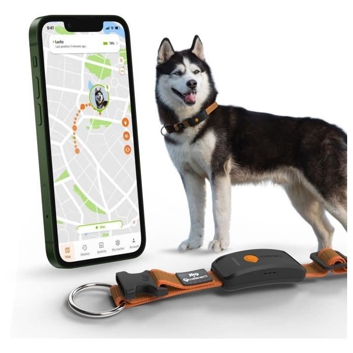 Collier GPS pour chien - WEENECT Chien XT - Antenne XL - Etanche - Collier Julius-K9 - Fonctionne avec abonnement - Orange