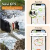 Collier GPS pour chien - WEENECT Chien XT - Antenne XL - Etanche - Col