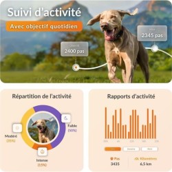 Collier GPS pour chien - WEENECT Chien XT - Antenne XL - Etanche - Col