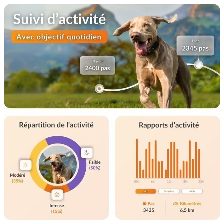 Collier GPS pour chien - WEENECT Chien XT - Antenne XL - Etanche - Collier Julius-K9 - Fonctionne avec abonnement - Orange