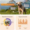 Collier GPS pour chien - WEENECT Chien XT - Antenne XL - Etanche - Col