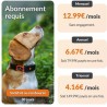 Collier GPS pour chien - WEENECT Chien XT - Antenne XL - Etanche - Col