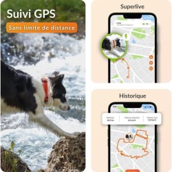 Collier GPS pour chien - WEENECT Chien XT - Antenne XL - Etanche - Col