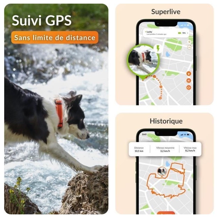 Collier GPS pour chien - WEENECT Chien XT - Antenne XL - Etanche - Collier Julius-K9 - Fonctionne avec abonnement - Noir