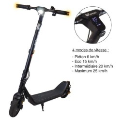 Trottinette électrique - WISPEED - C8-40 PRO - 250 W nominal - 8,5''