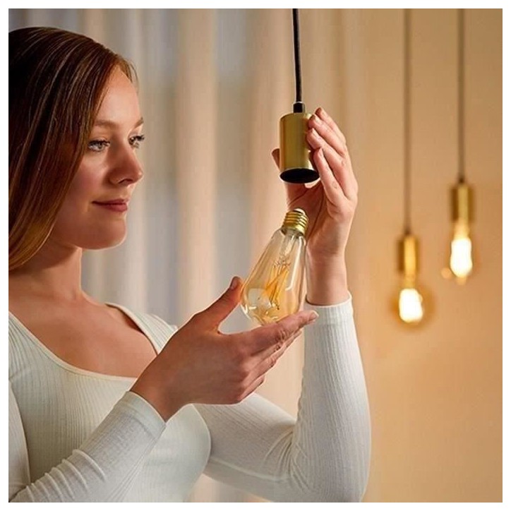 Kit de démarrage WiZ 2 ampoules connectées Edison Blanc variable E27 50W + Télécommande nomade variateur de lumiere Kit de démarrage WiZ 2 ampoules connectées Edison Blanc variable E27 50W + Télécommande nomade variateur de lumiere