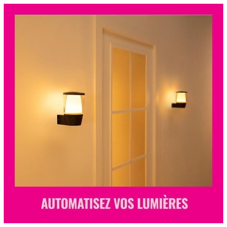 Applique murale WIZ ELPAS - Connectée - Extérieur - Noir