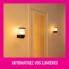 Applique murale WIZ ELPAS - Connectée - Extérieur - Noir