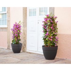 ARTEVASI pot de fleurs CAPRI CAMPANA - Résistant au gel - Anthacite -
