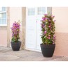 ARTEVASI pot de fleurs CAPRI CAMPANA - Résistant au gel - Anthacite -