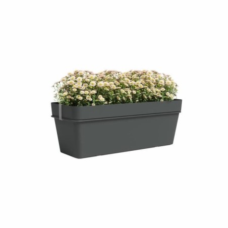 ARTEVASI Kit balcon Jardiniere CAPRI RE 50cm anthracite - 50,2 x 28,5 x h20 cm - 1,45L