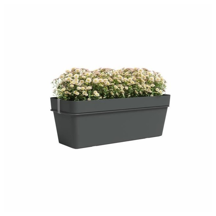 ARTEVASI Kit balcon Jardiniere CAPRI RE 50cm anthracite - 50,2 x 28,5 x h20 cm - 1,45L ARTEVASI Kit balcon Jardiniere CAPRI RE 50cm anthracite - 50,2 x 28,5 x h20 cm - 1,45L