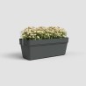 ARTEVASI Kit balcon Jardiniere CAPRI RE 50cm anthracite - 50,2 x 28,5
