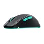 Souris de gaming ultra-légere 2,4 GHz - CHERRY XTRFY M64 WIRELESS - Noir