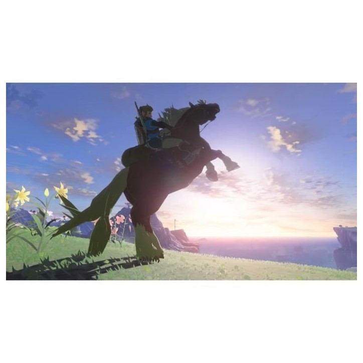 The Legend of Zelda: Tears of the Kingdom • Jeu Nintendo Switch The Legend of Zelda: Tears of the Kingdom • Jeu Nintendo Switch