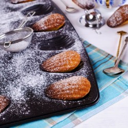 Lot de 2 moules a madeleines 12 empreintes - ZENKER - Spécial Countri