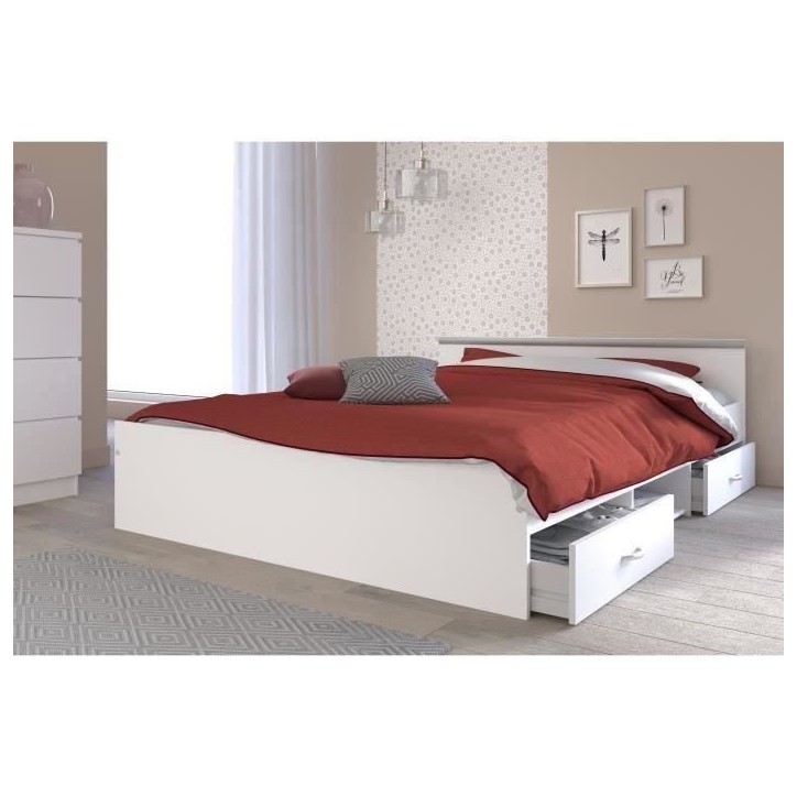 PARISOT Lit adulte contemporain blanc mat - l 140 x L 200 cm - ZODIAC PARISOT Lit adulte contemporain blanc mat - l 140 x L 200 cm - ZODIAC