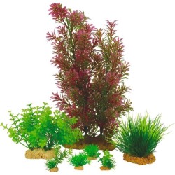 Plantes artificielles pour aquarium - ZOLUX - Plantkit - Taille M - Lo