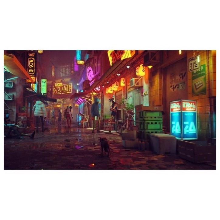 Stray - Jeu Nintendo Switch