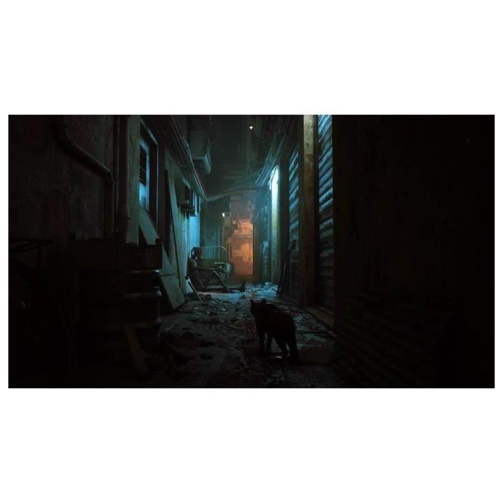 Stray - Jeu Nintendo Switch