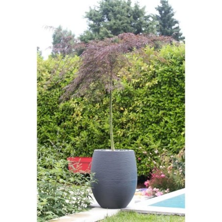 Pot de fleurs Rond Egg Ø 50cm - EDA - Graphit - 53 L - Ø 50 x H. 53 cm - Gris Anthracite