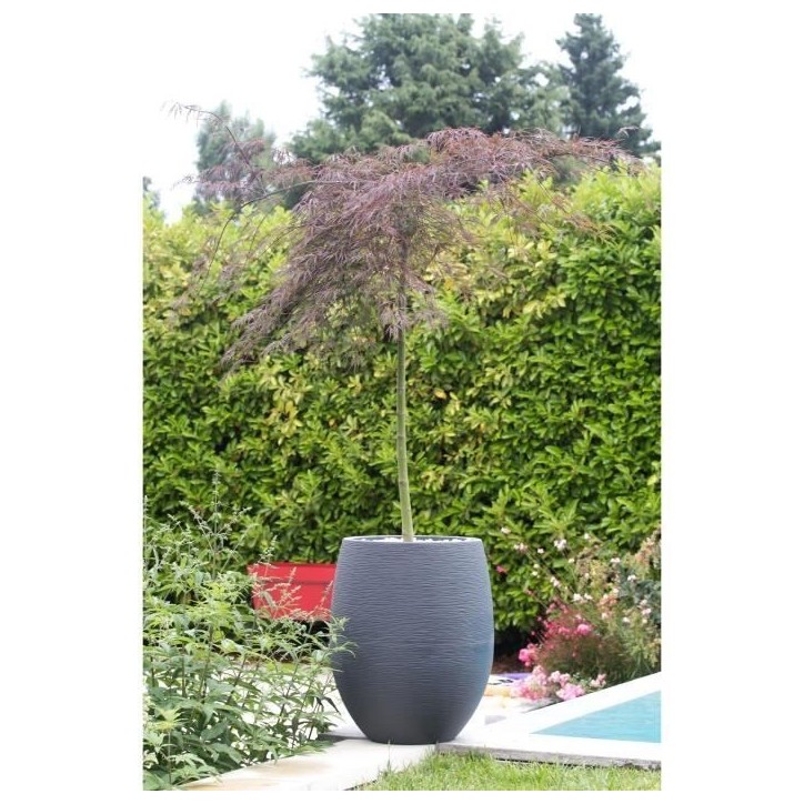 Pot de fleurs Rond Egg Ø 50cm - EDA - Graphit - 53 L - Ø 50 x H. 53 cm - Gris Anthracite Pot de fleurs Rond Egg Ø 50cm - EDA - Graphit - 53 L - Ø 50 x H. 53 cm - Gris Anthracite