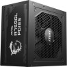 MSI Alimentation PC MAG A750GL PCIE5 - 750W 80+ Gold Modulaire MSI Alimentation PC MAG A750GL PCIE5 - 750W 80+ Gold Modulaire