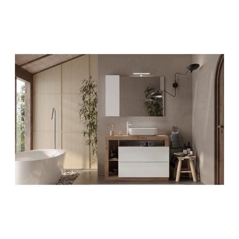 Ensemble Meuble salle de bain L110cm - Vasque + 2 Tiroirs + 3 niches -
