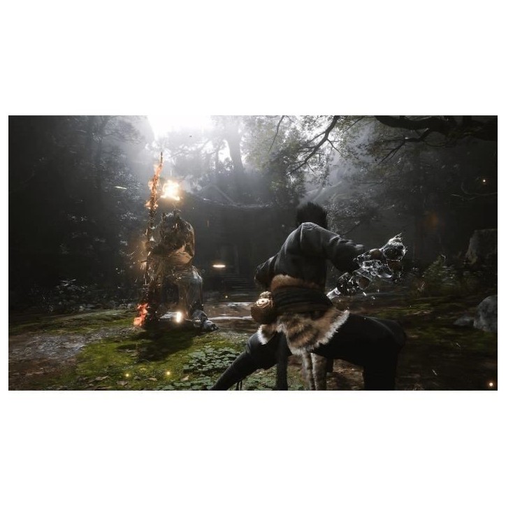 Black Myth: Wukong - Jeu PS5