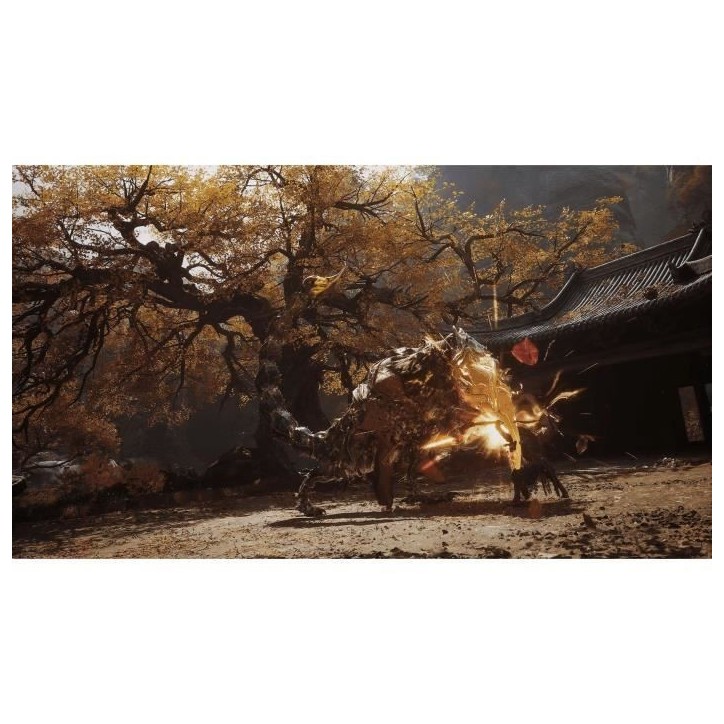 Black Myth: Wukong - Jeu PS5