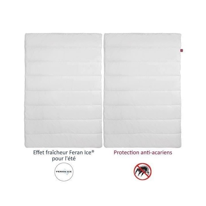 ABEIL Couette 4 Saisons ANTI-ACARIENS 240x260cm