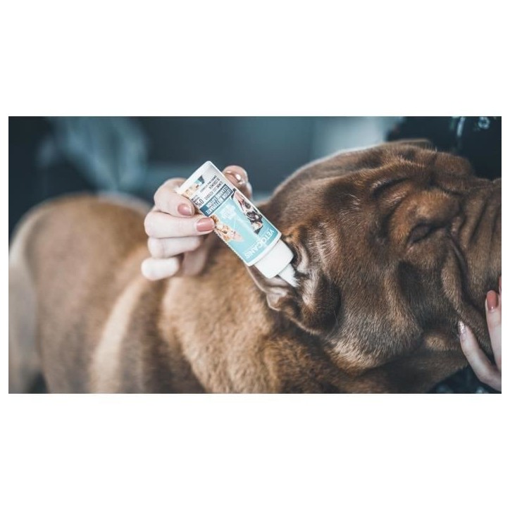 VETOCANIS Nettoyant Oreille pour Chat et Chien 60ml VETOCANIS Nettoyant Oreille pour Chat et Chien 60ml