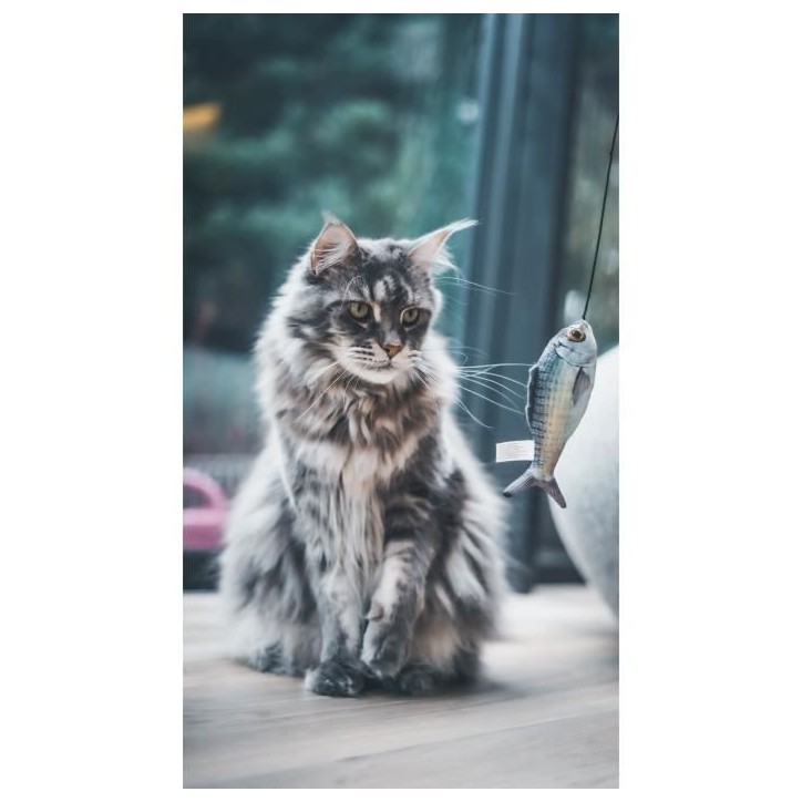 Jouet chat - AIME - Canne a peche poisson - Stick bois, poisson 15cm