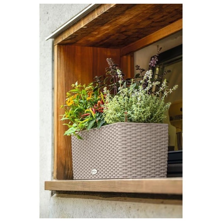 LECHUZA Jardiniere - Balconera cottage 50 - 50 x 19 x 19 cm - 8 L - Kit complet - Brun sable
