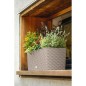 LECHUZA Jardiniere - Balconera cottage 50 - 50 x 19 x 19 cm - 8 L - Kit complet - Brun sable