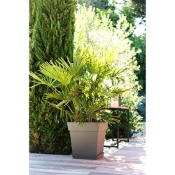 Pot de fleurs Carré 50 cm - EDA - Toscane - 87 L - 49,5 x 49,5 x H.52