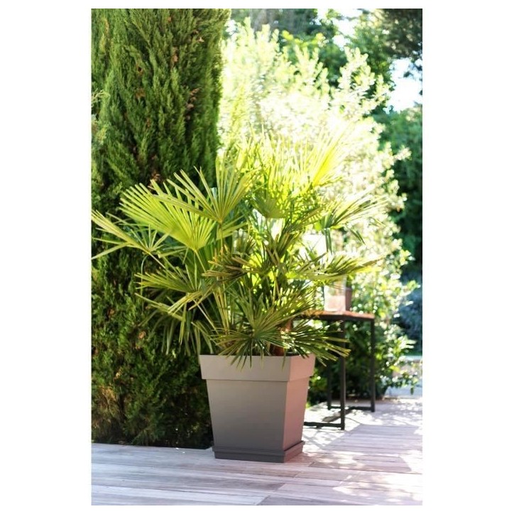 Pot de fleurs Carré 50 cm - EDA - Toscane - 87 L - 49,5 x 49,5 x H.52,5 cm - Taupe