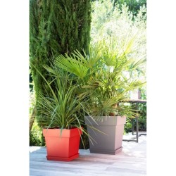 Pot de fleurs Carré 50 cm - EDA - Toscane - 87 L - 49,5 x 49,5 x H.52