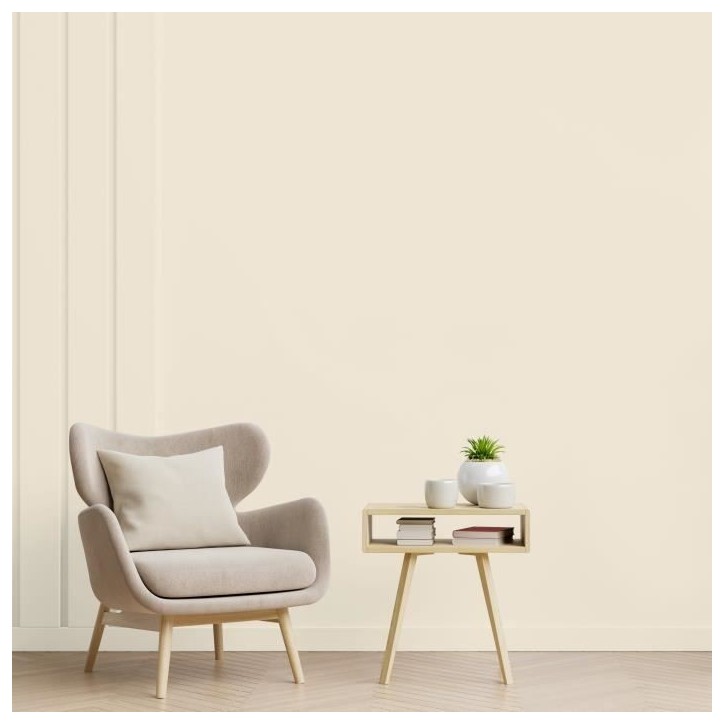 Peinture - RIPOLIN - Esprit Déco Multi-Supports - Blanc Cassé - Mat - 2,5L