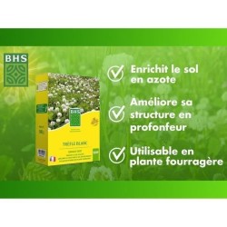 Trefle Blanc - BHS - 500 m²| Favorise la biodiversité, s'adapte a to