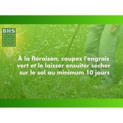 Trefle Blanc - BHS - 500 m²| Favorise la biodiversité, s'adapte a to