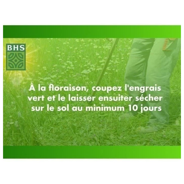 Trefle Blanc - BHS - 500 m²| Favorise la biodiversité, s'adapte a tous types de sols et résiste au piétinement.