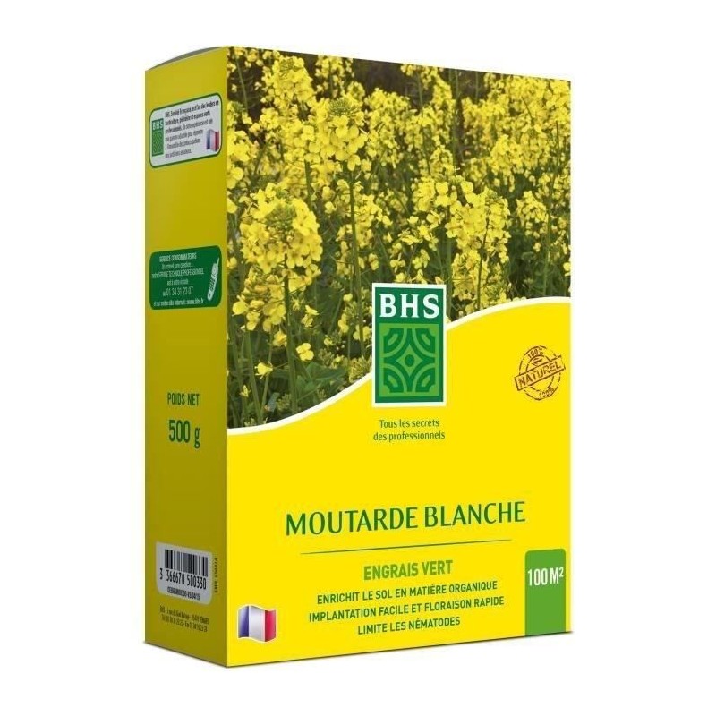 Engrais Verts - BHS - Moutarde Blanche 500g | 100 m² | Améliore et d