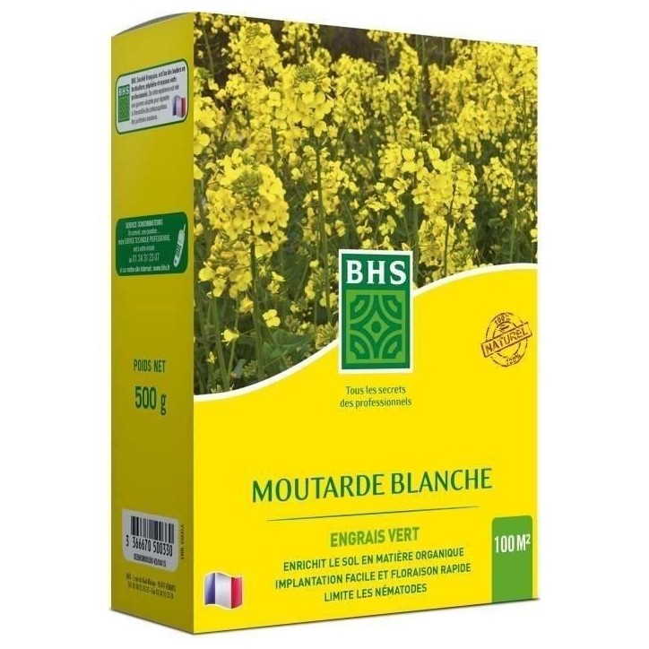 Engrais Verts - BHS - Moutarde Blanche 500g | 100 m² | Améliore et désinfecte les sols pour une meilleure fertilité.